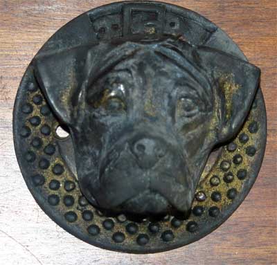 Castro-Castalia Bullmastiffs
