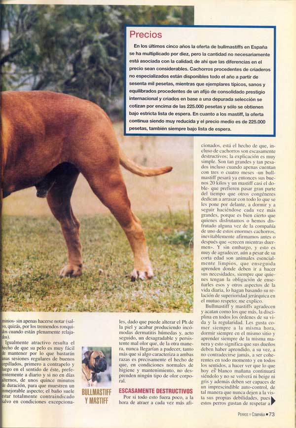 Mastiff y Bullmastiff, Dos Magnificos Gentleman