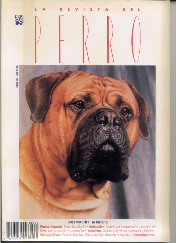 Articulos publicados por Christina de Lima-Netto, Castro-Castalia Bullmastiffs