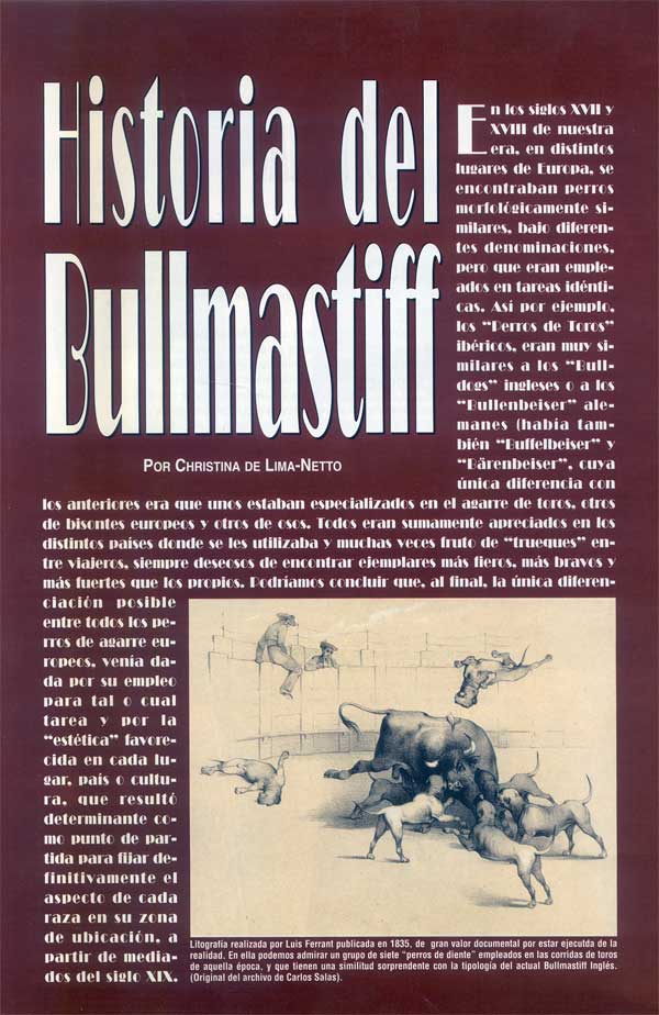 Articulos publicados por Christina de Lima-Netto, Castro-Castalia Bullmastiffs