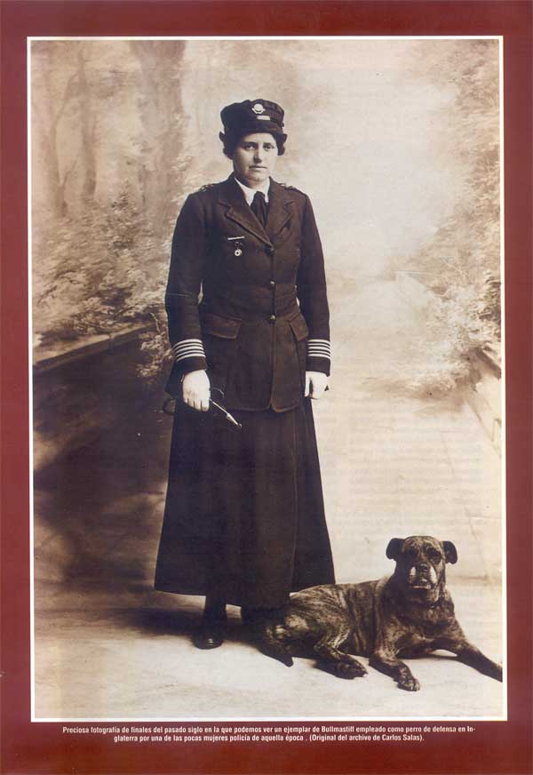 Articulos publicados por Christina de Lima-Netto, Castro-Castalia Bullmastiffs