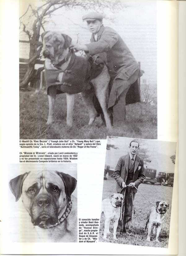 Articulos publicados por Christina de Lima-Netto, Castro-Castalia Bullmastiffs