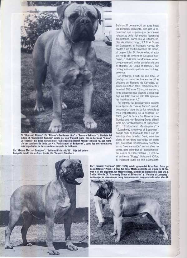 Articulos publicados por Christina de Lima-Netto, Castro-Castalia Bullmastiffs