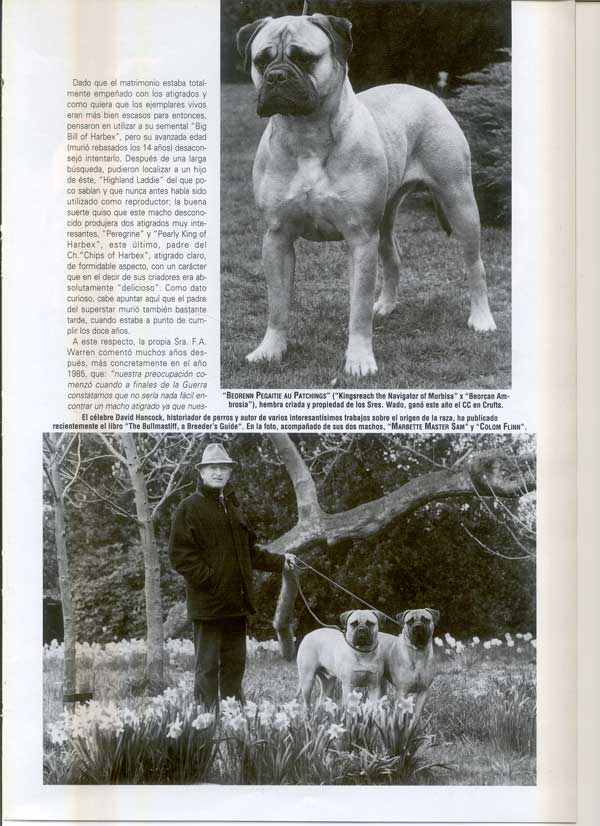 Articulos publicados por Christina de Lima-Netto, Castro-Castalia Bullmastiffs