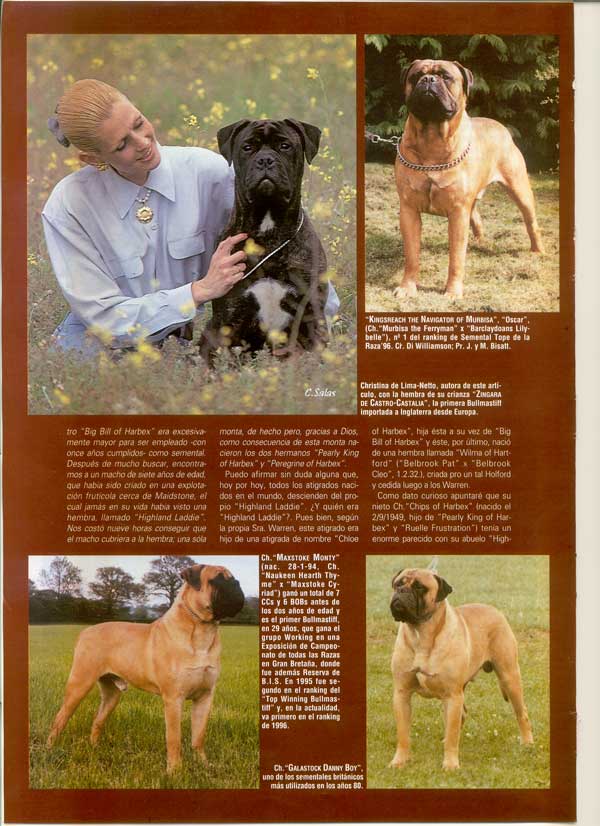Articulos publicados por Christina de Lima-Netto, Castro-Castalia Bullmastiffs